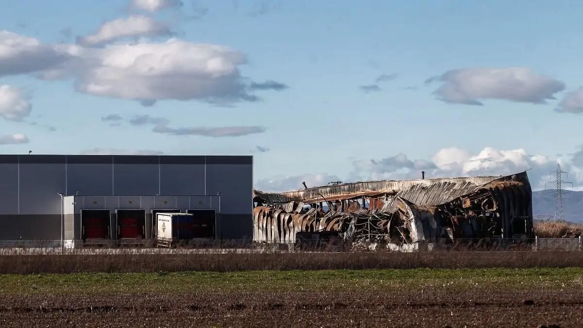 violanta 7 1 1200x675 1