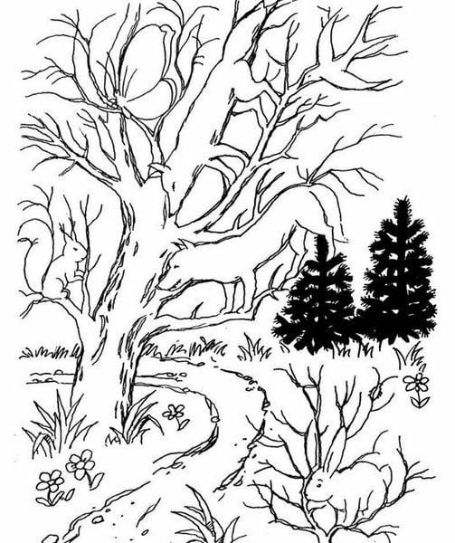 487207428 1216515213376406 1532205963494446838 n