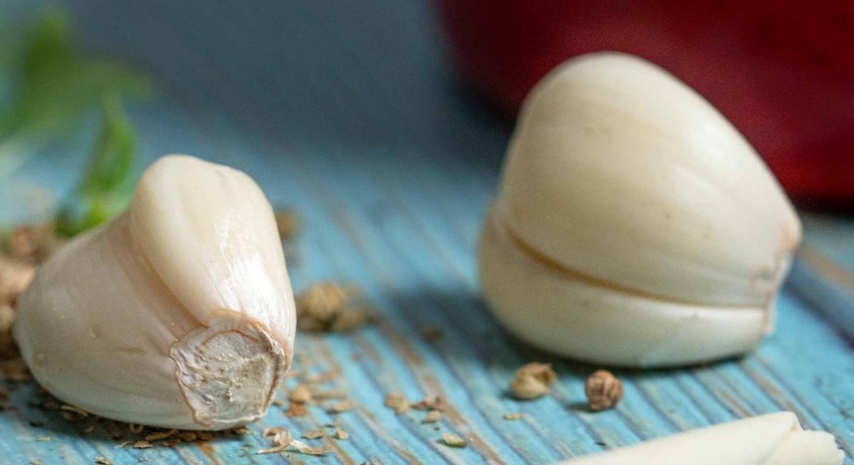 ti einai i skelida skordou 1320x720 1