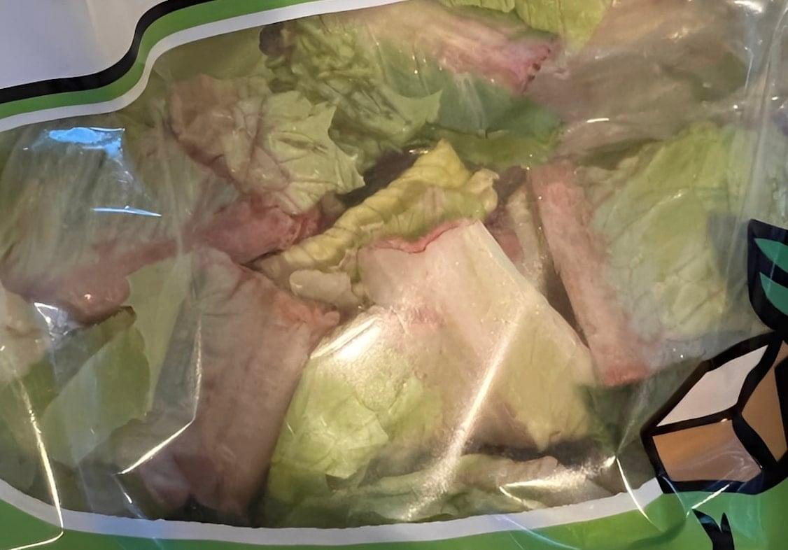 stigmiotypo othonis 2025 10 13 19.24.14