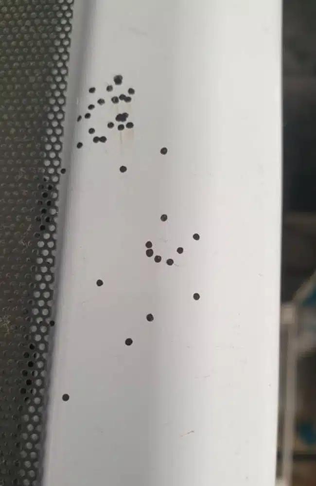 824b88e467c40096c2dd5ad3dc1eb03a