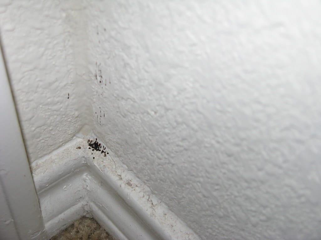 2561522544 06267ba2f8 b