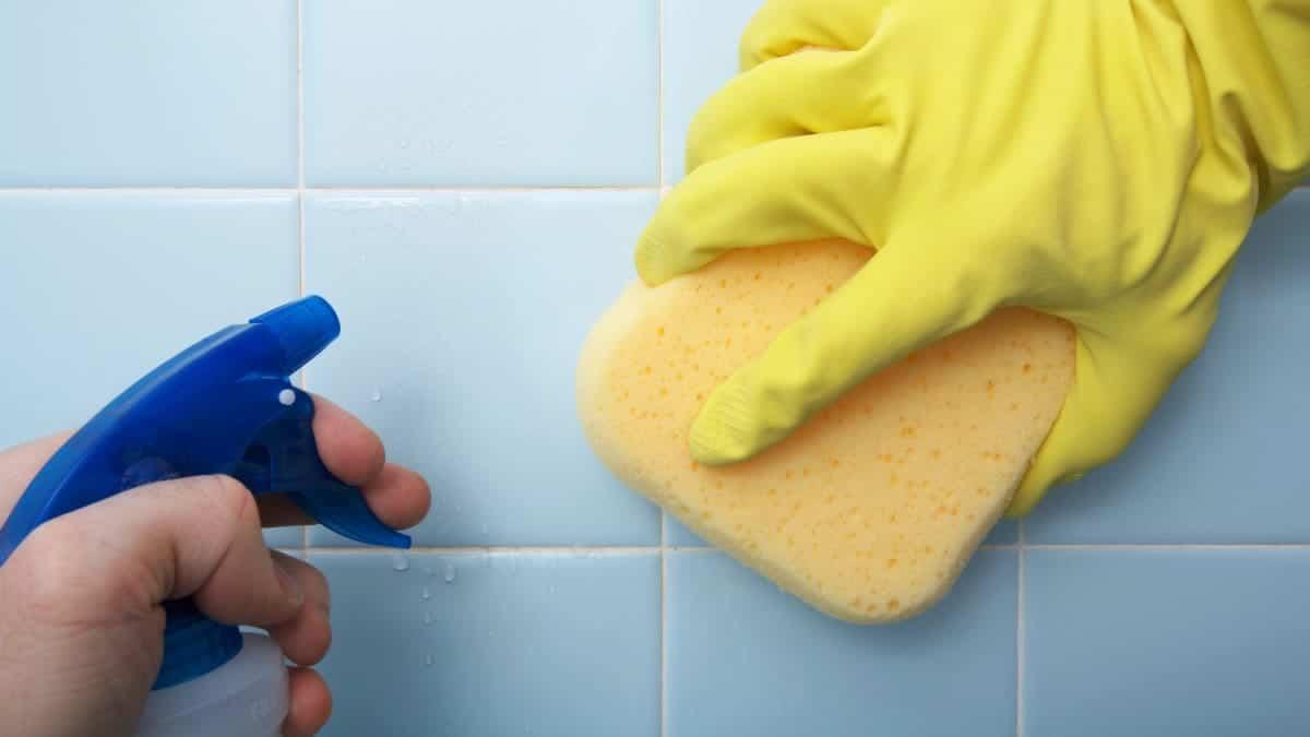 cr home inlinehero prevent mold bathroom 0224