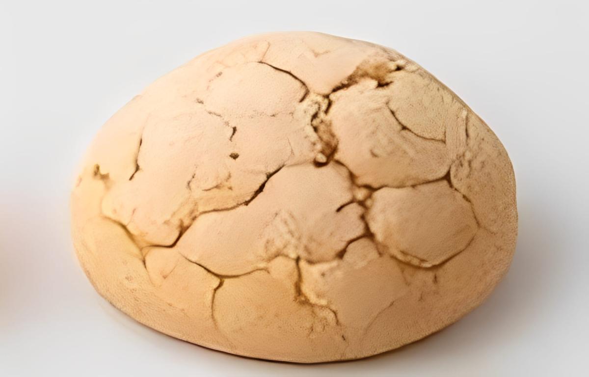 stigmiotypo othonis 2025 10 15 01.47.34