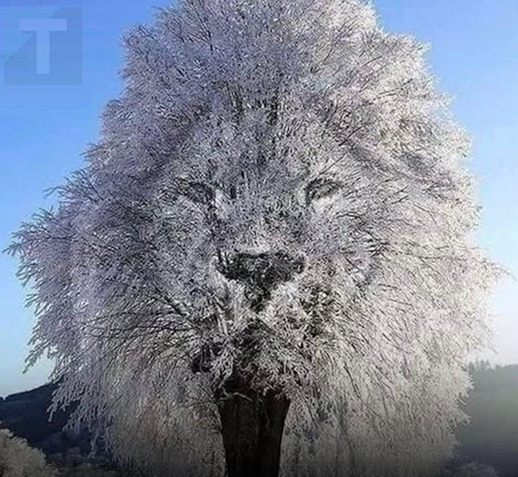 stigmiotypo othonis 2026 02 18 15.11.01