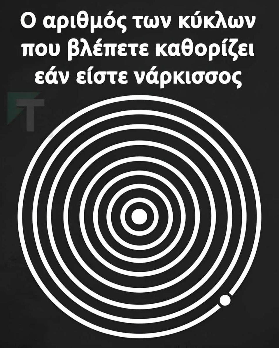 509431530 1119535913553049 3235581180843926484 n