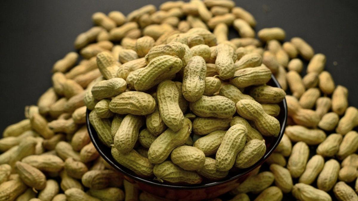 Οι γιατροί αποκαλύπτουν ότι η κατανάλωση φιστικιού προκαλεί... 1 6b97ce8de70a977b28377d0693e3bad6