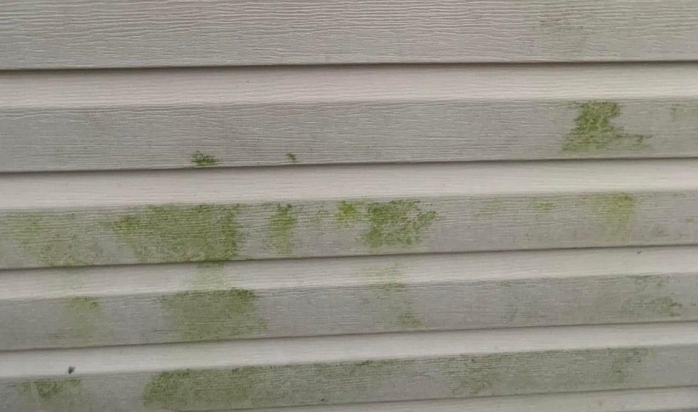 stigmiotypo othonis 2026 02 19 14.01.12