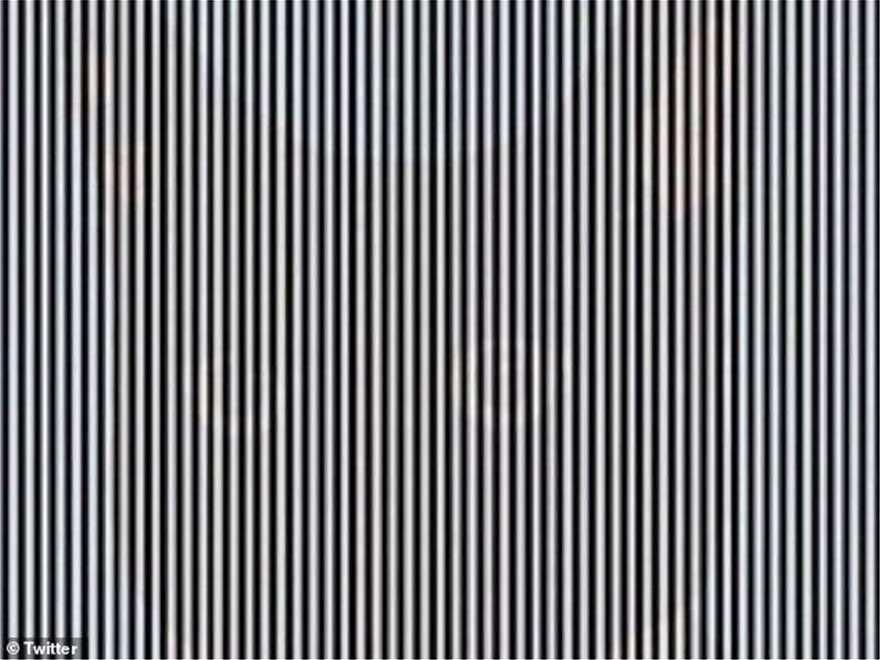 Δοκιμάστε τις ικανότητές σας και προσπαθήστε να μαντέψετε ποιο ζώο μπορείτε να δείτε στην εικόνα 1 ofthalmapati 1