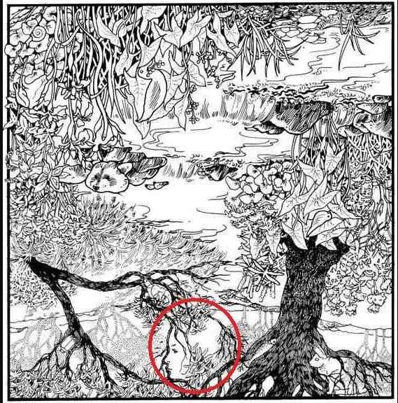 Μόνο άτομα με υψηλό IQ μπορούν να βρουν το ανθρώπινο πρόσωπο 2 lisi