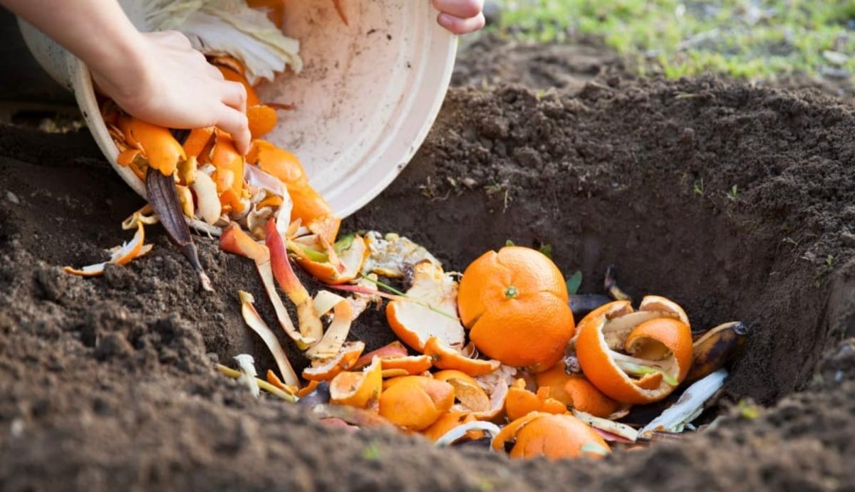 Σταματήστε να πετάτε τις φλούδες από τα πορτοκάλια. Δείτε 10 έξυπνα κόλπα για να τις χρησιμοποιήσετε στο σπίτι 6 stigmiotypo othonis 2025 08 31 02.07.43
