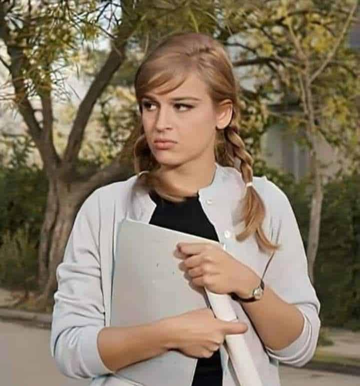 601488153 1392471195835183 525634838407593863 n