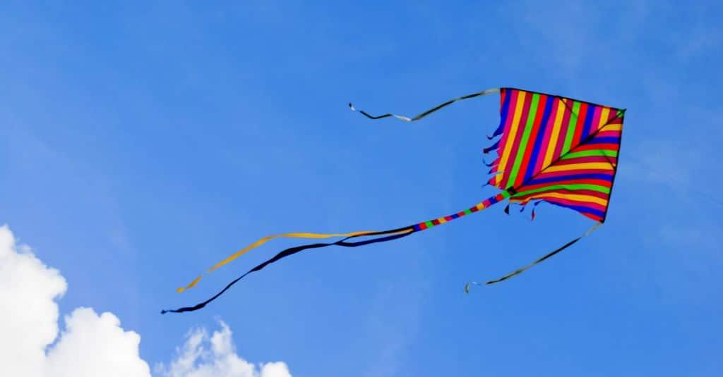 shutterstock 289408196 1 1024x535 1