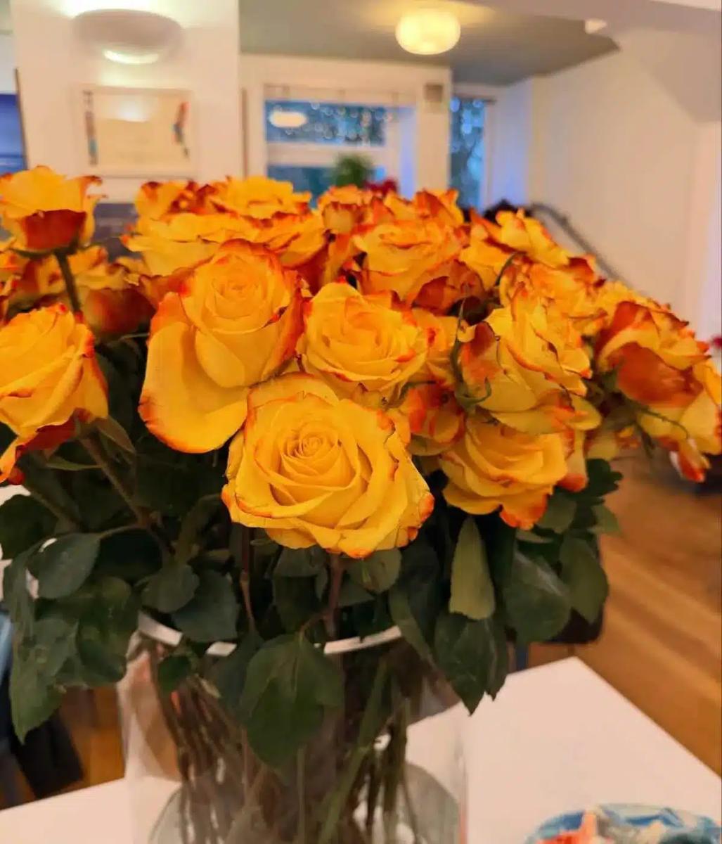 641296971 18564040147029687 7155207794766682377 n.jpg