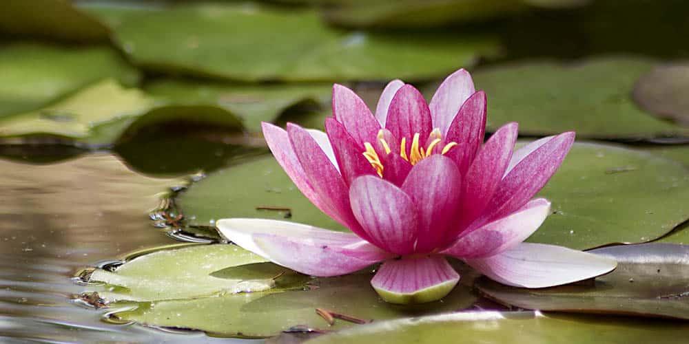 mistikakipou noufaro