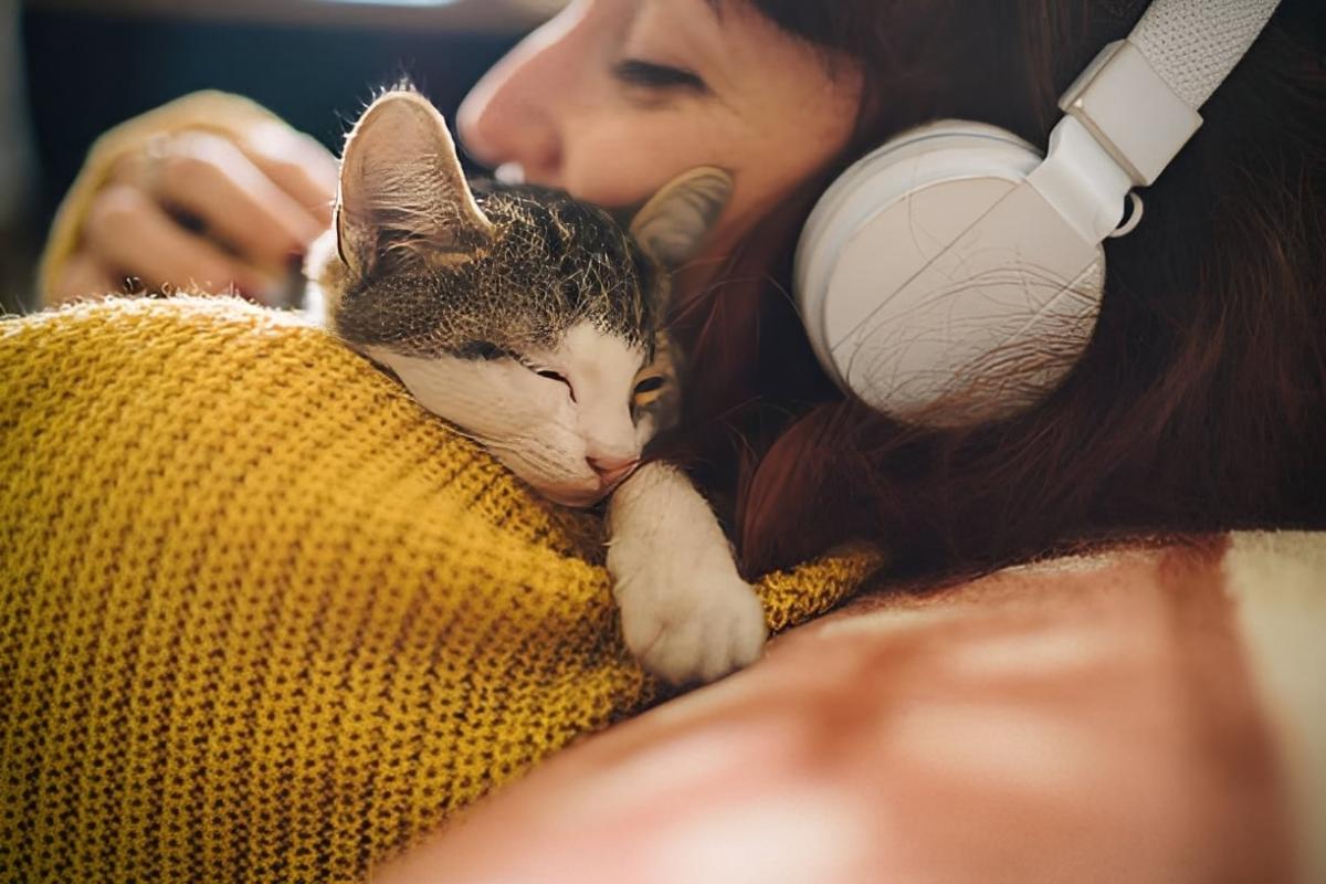 Αν η γάτα σας κοιμάται μαζί σας κάθε βράδυ, δείτε τι μπορεί να σημαίνει 1 33333 6