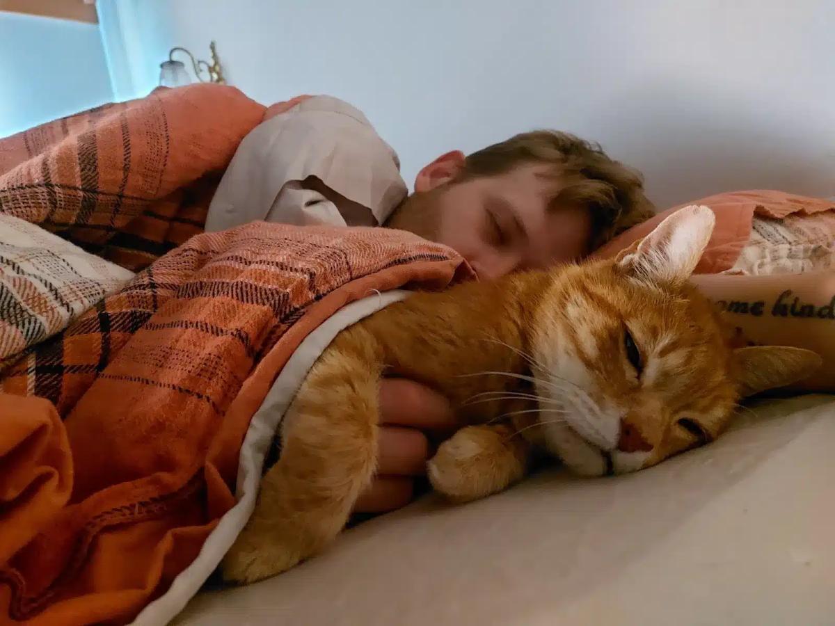 Αν η γάτα σας κοιμάται μαζί σας κάθε βράδυ, δείτε τι μπορεί να σημαίνει 4 acjghnwzpy7a1