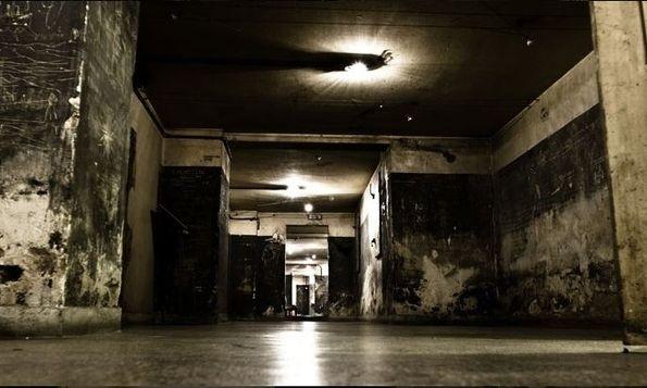 2ae3d9f3 1718124652289 899568659 korai4