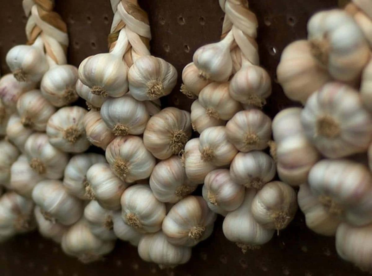 Ακόμα κι αν σας τα δώσουν δωρεάν, μην τα πάρετε αυτά τα σκόρδα 3 a2ca89e40b04f49053b629ddfb1f8ff4