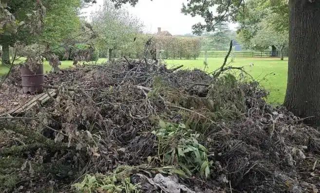 Μπορείτε να εντοπίσετε τον κρυμμένο σκύλο; Μόνο όσοι έχουν αετίσια όραση μπορούν 1 unnamed 32.jpg
