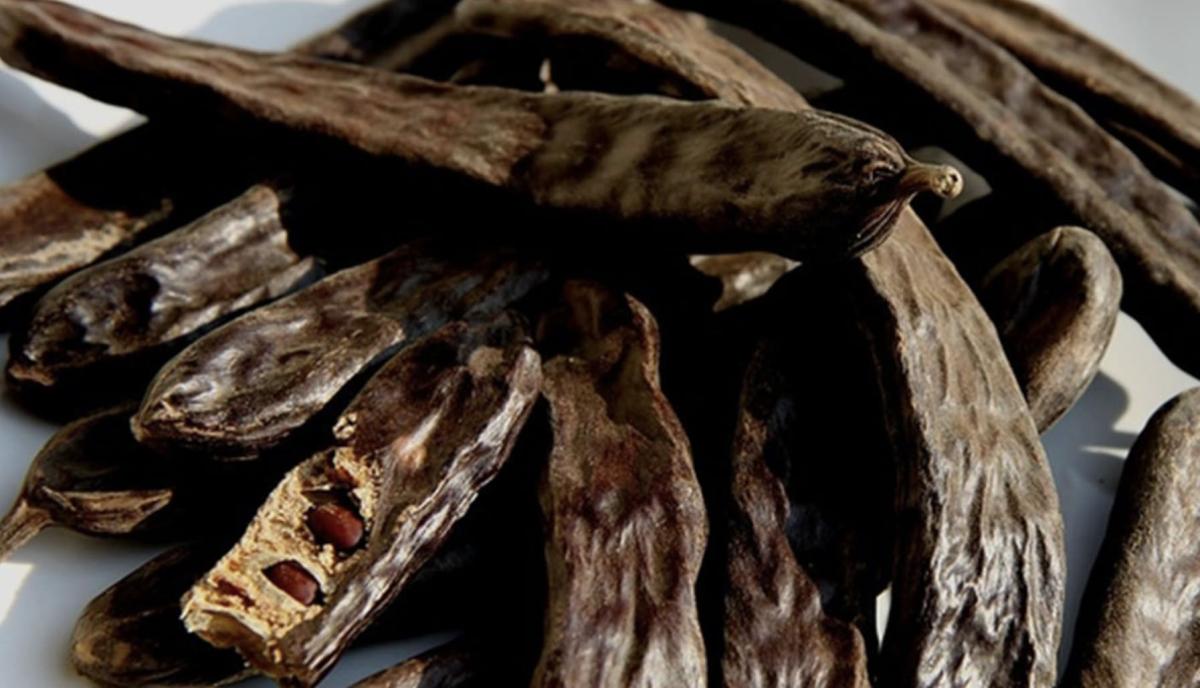 stigmiotypo othonis 2025 12 16 02.19.21