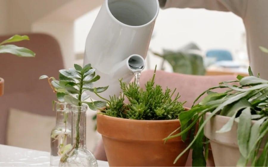 152c2621dc9a320839cf686621066967 l