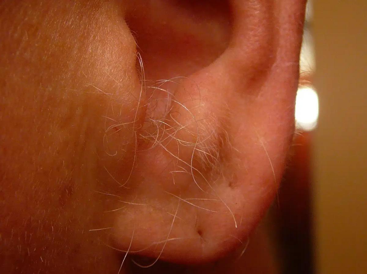 ear