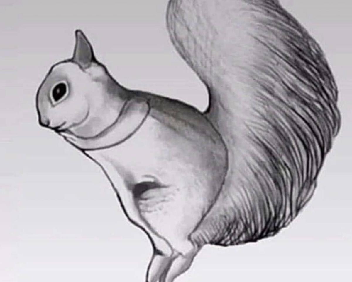 stigmiotypo othonis 2025 10 23 02.59.50