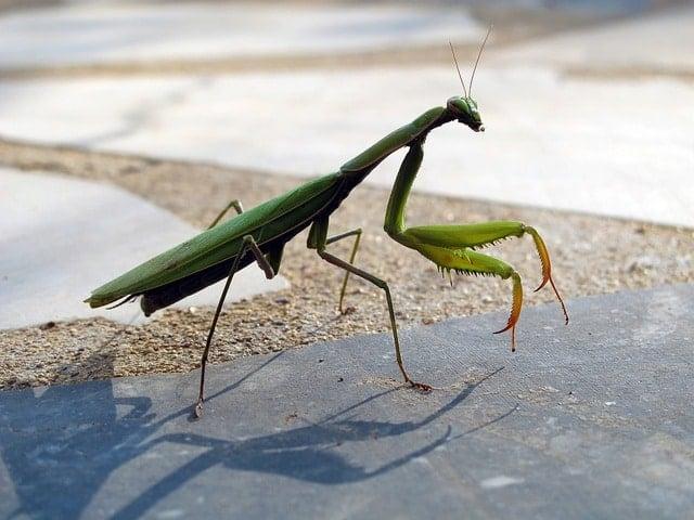 04316103da5cc99f8d2c33afeb4af600