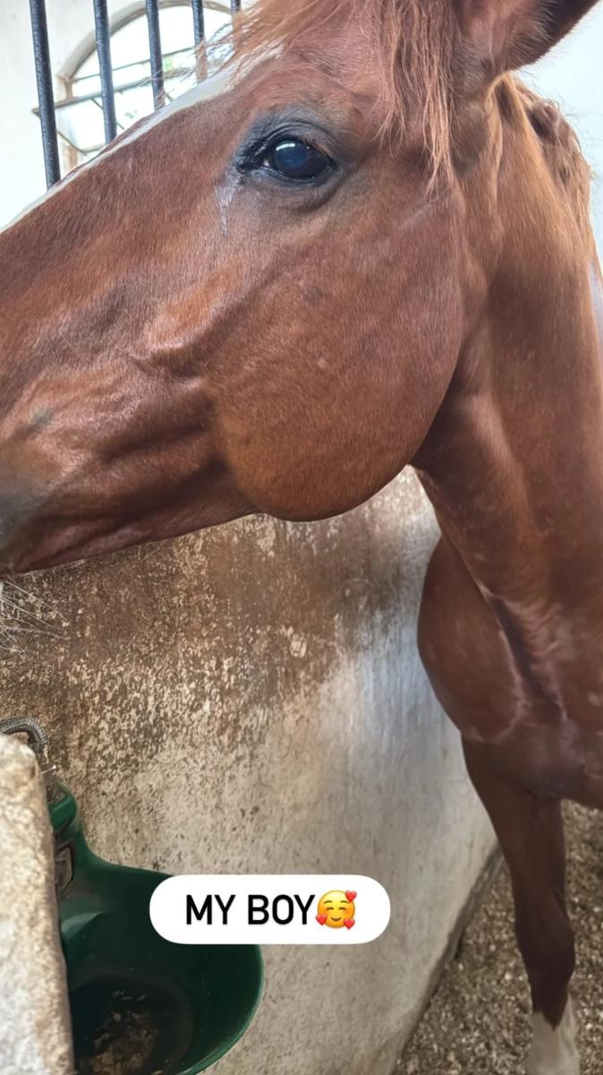 anthi voulgari 10 1068x1899 1