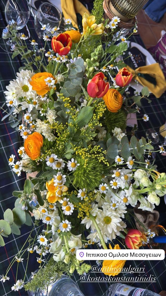 651696155 18568968664048177 2509941089155148542 n 4e59e