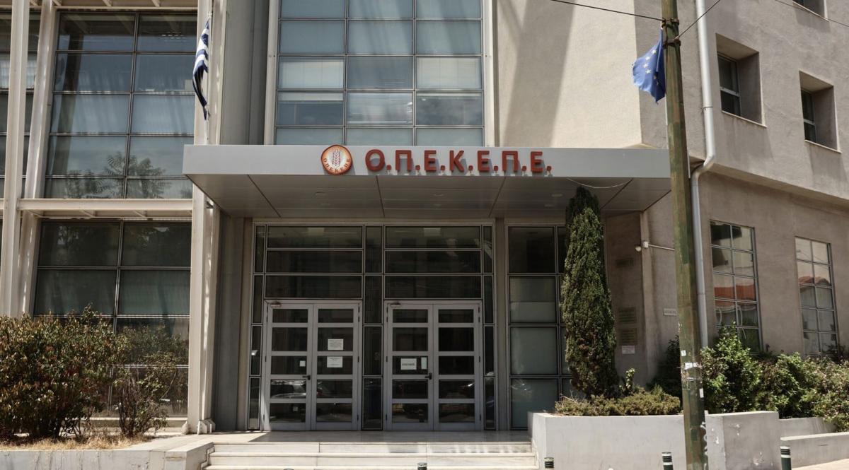 opekepe 15 1 2 1 1 1 1 1