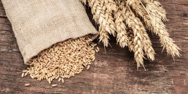 Σπλαχνικό λίπος: Οι υδατάνθρακες που αξίζει να βάλετε στο πιάτο σας 3 krithari 16516 l