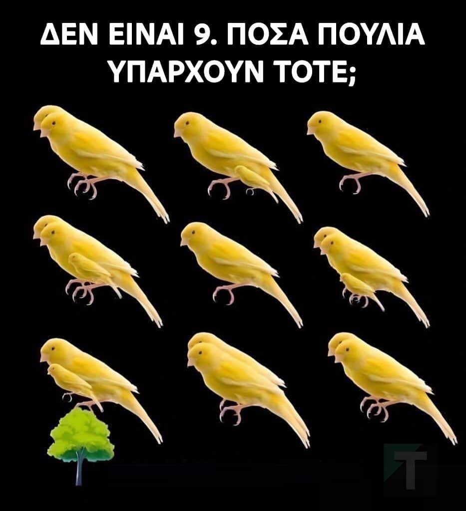 Πόσα πουλιά υπάρχουν σε αυτή την φωτογραφία; 1 33 5