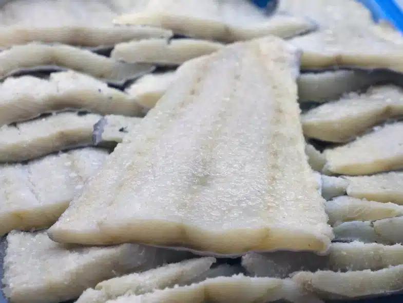 jflcgetdbd65fe8b2e332b6