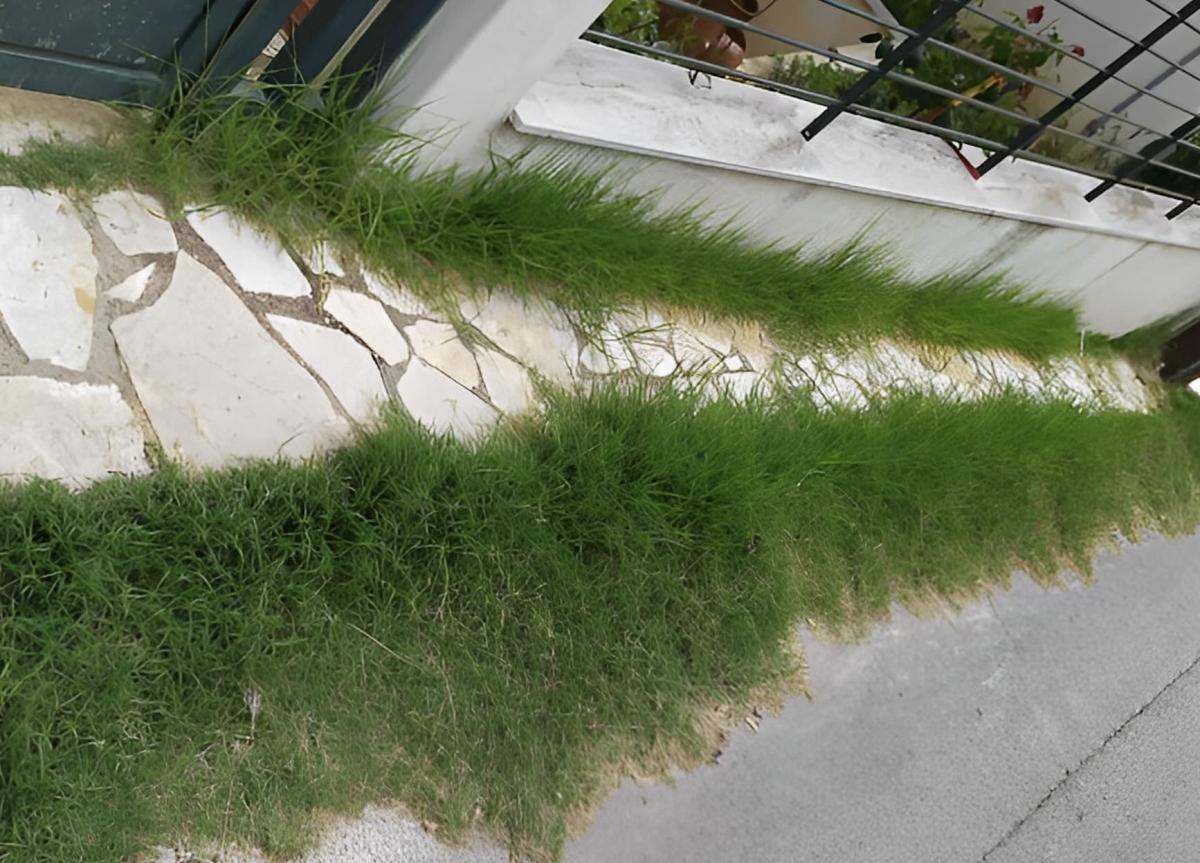 stigmiotypo othonis 2025 06 12 01.47.23