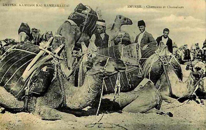 20210108 5ff8b42458cc6