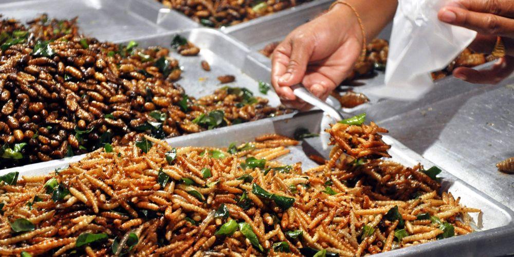 entomofagia einai to mellon i aplos mia