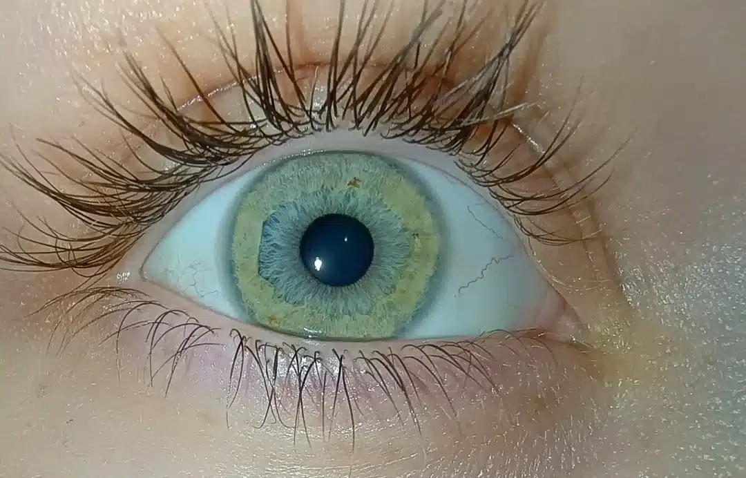 what colour are my eyes ive always just said green v0 bq15en52pa5e1