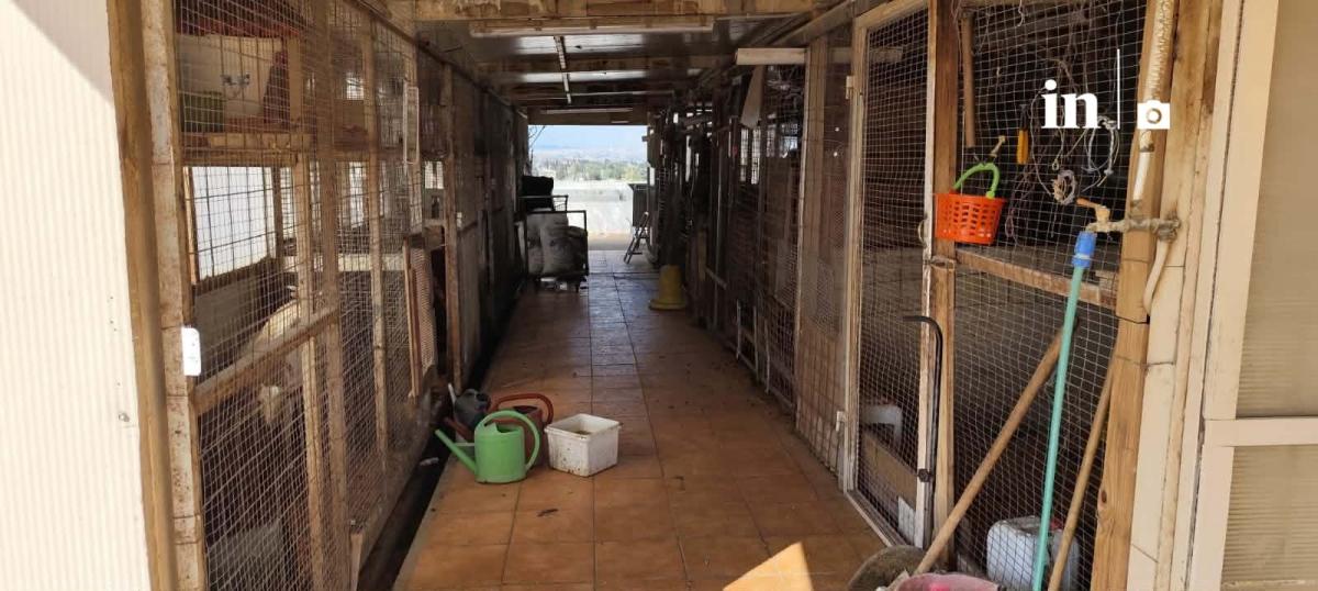 Αυτή είναι η παράνομη στάνη με κατσίκες και κοτόπουλα στον 16ο όροφο του Πύργου Αθηνών στους Αμπελόκηπους 3 ka55