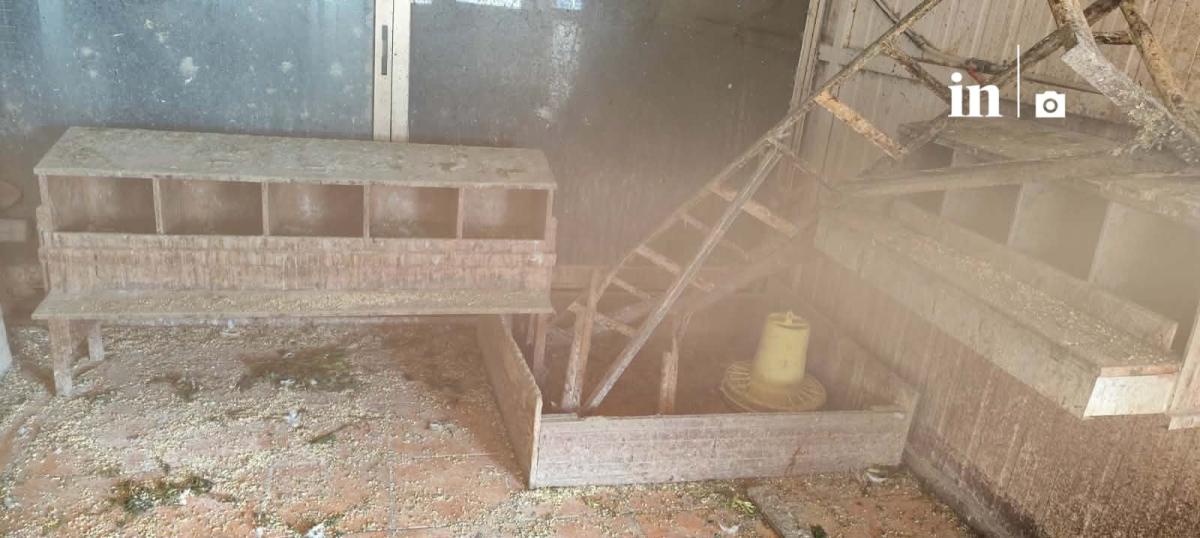 Αυτή είναι η παράνομη στάνη με κατσίκες και κοτόπουλα στον 16ο όροφο του Πύργου Αθηνών στους Αμπελόκηπους 5 ka44