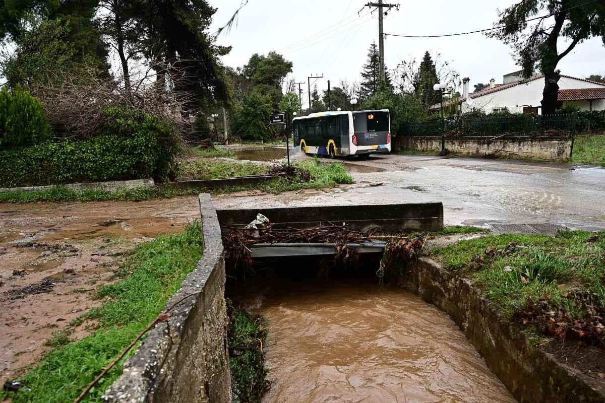 Μενεγάκη και Ματέο «θύματα» του «Erminio» 3 eleni menegaki 1