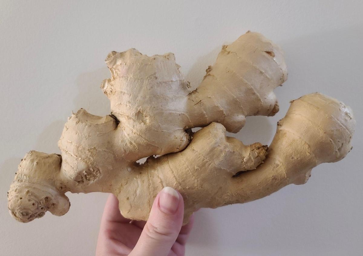 stigmiotypo othonis 2025 10 01 15.06.29