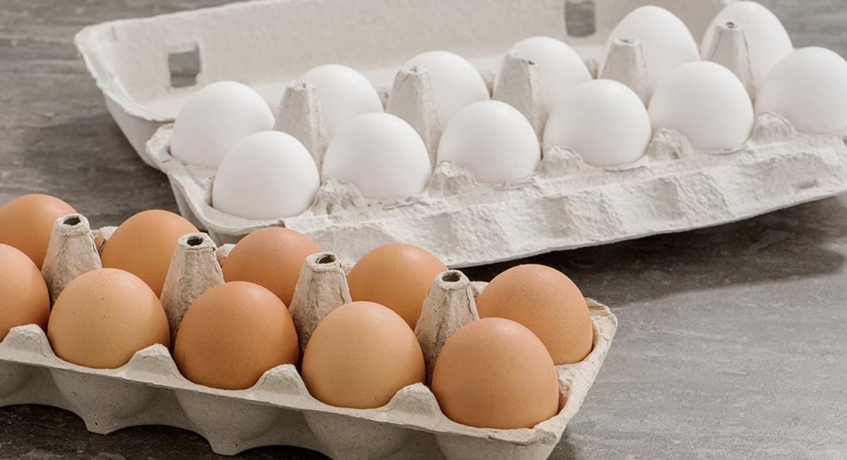 Γνωρίστε τη διαφορά μεταξύ ενός αυγού με λευκό κέλυφος και ενός καφέ αυγού 2 2026 04 05 02.15.26