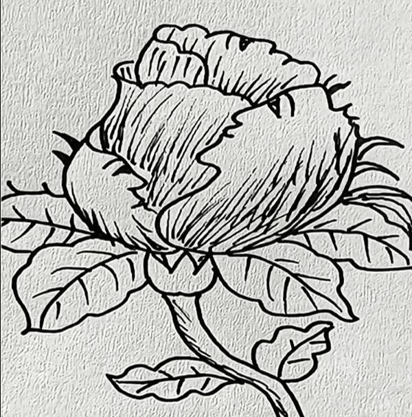 Μόνο άτομα με μεγάλο IQ μπορούν να βρουν τα 5 πρόσωπα σε 17 δευτερόλεπτα 1 screenshot 1753436670 2