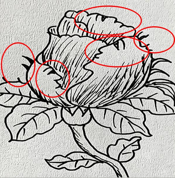 Μόνο άτομα με μεγάλο IQ μπορούν να βρουν τα 5 πρόσωπα σε 17 δευτερόλεπτα 4 screenshot 1753436707