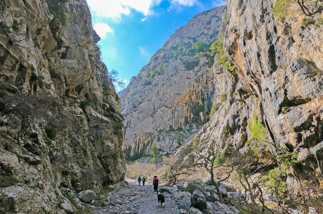Συναγερμός στην Εύβοια: Χάθηκαν οκτώ άτομα σε φαράγγι - Σπεύδουν δυνάμεις για τον εντοπισμό τους 1 agali edited