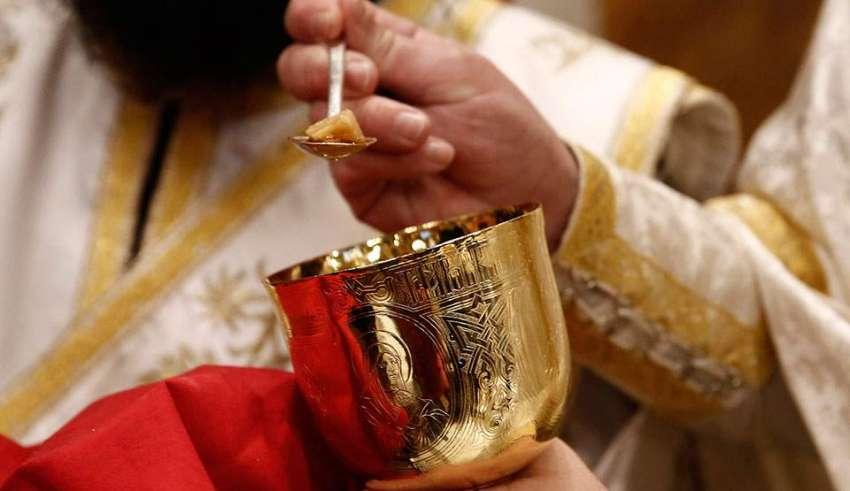 theia koinwnia 3 850x491 1