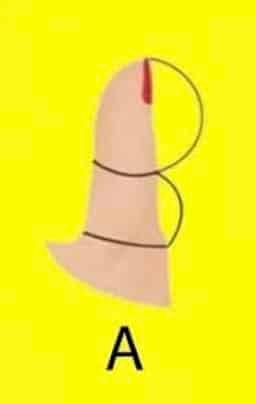 Το σχήμα του αντίχειρά σου αποκαλύπτει πολλά για την προσωπικότητά σου 1 2026 04 07 01.12.37