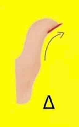 Το σχήμα του αντίχειρά σου αποκαλύπτει πολλά για την προσωπικότητά σου 4 2026 04 07 01.12.45